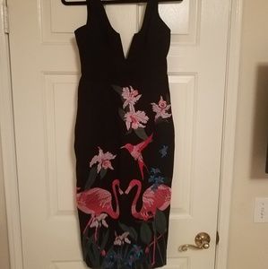 House of CB Midi dress black floral NWT